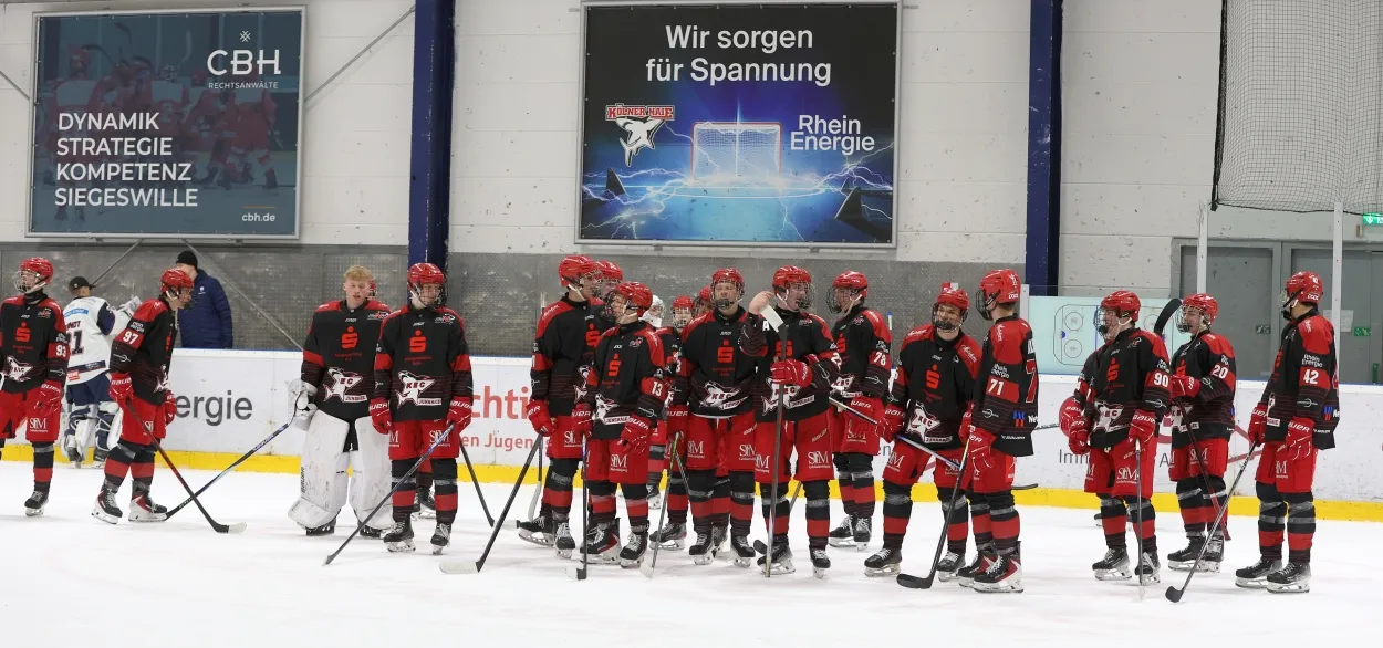 Die Junghaie sind bereit für die Play