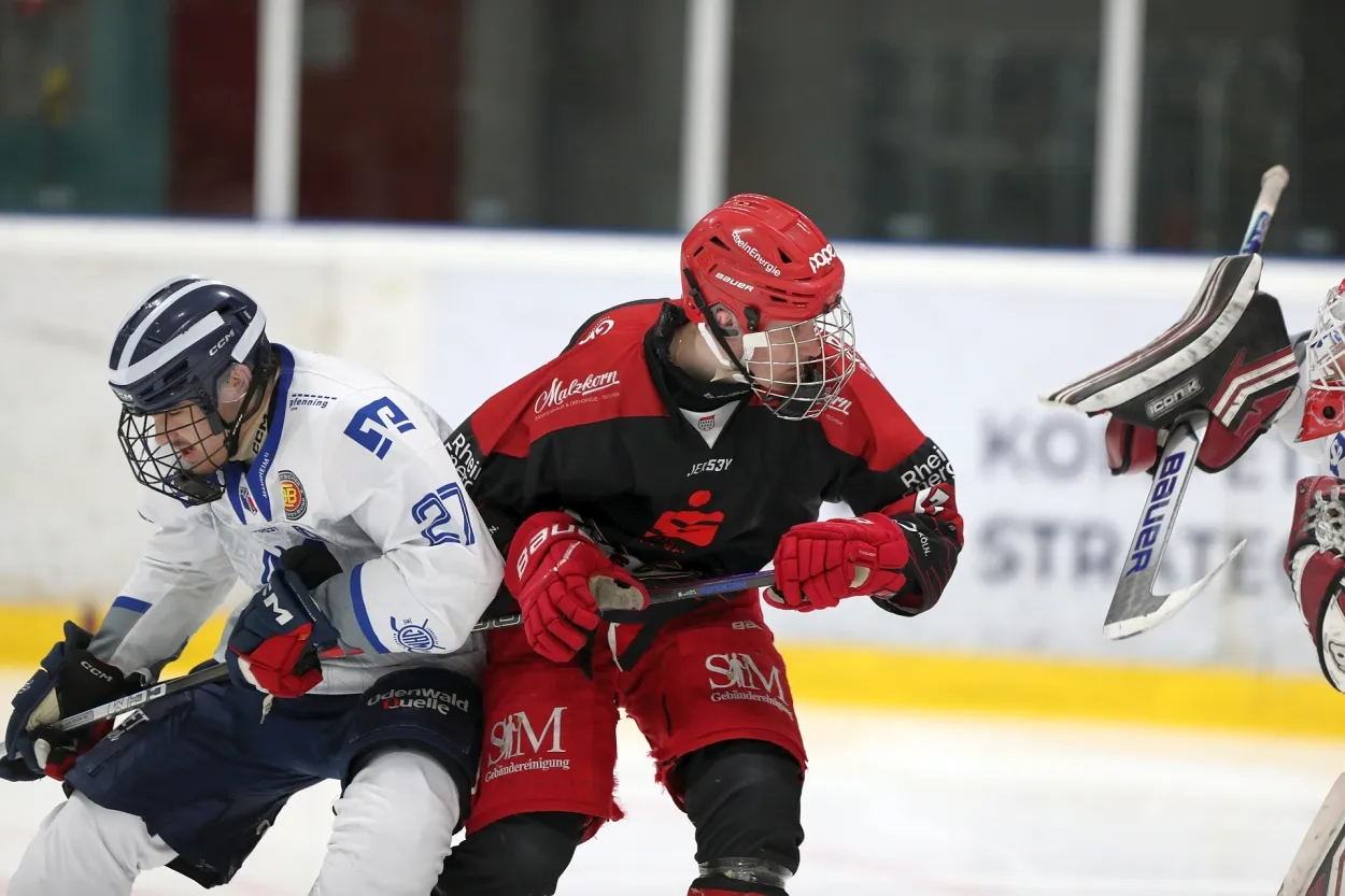 Leider keine Bildbeschreibung für d1hk3485.jpg vorhanden.