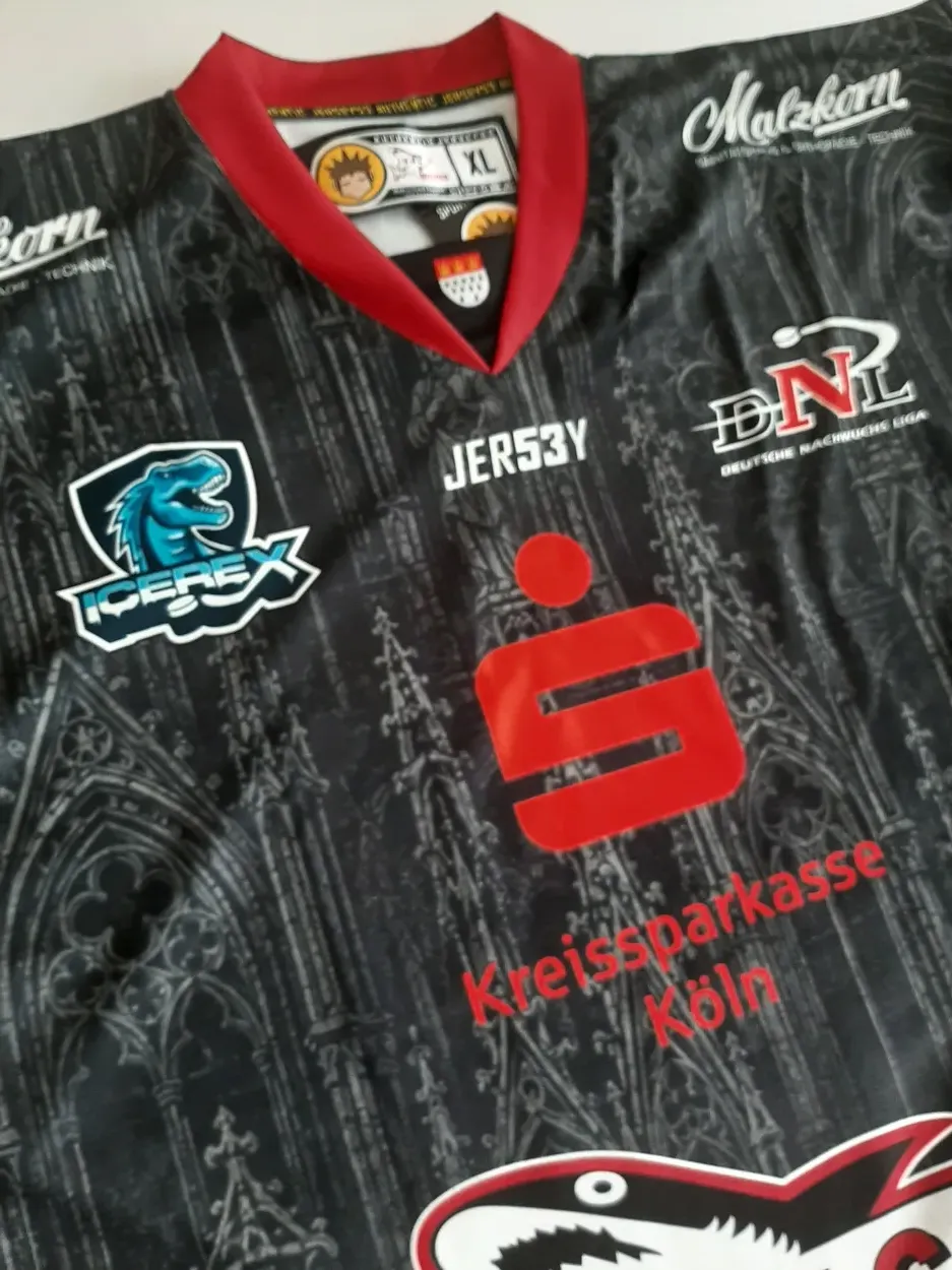 Das ICEREX-Logo auf den