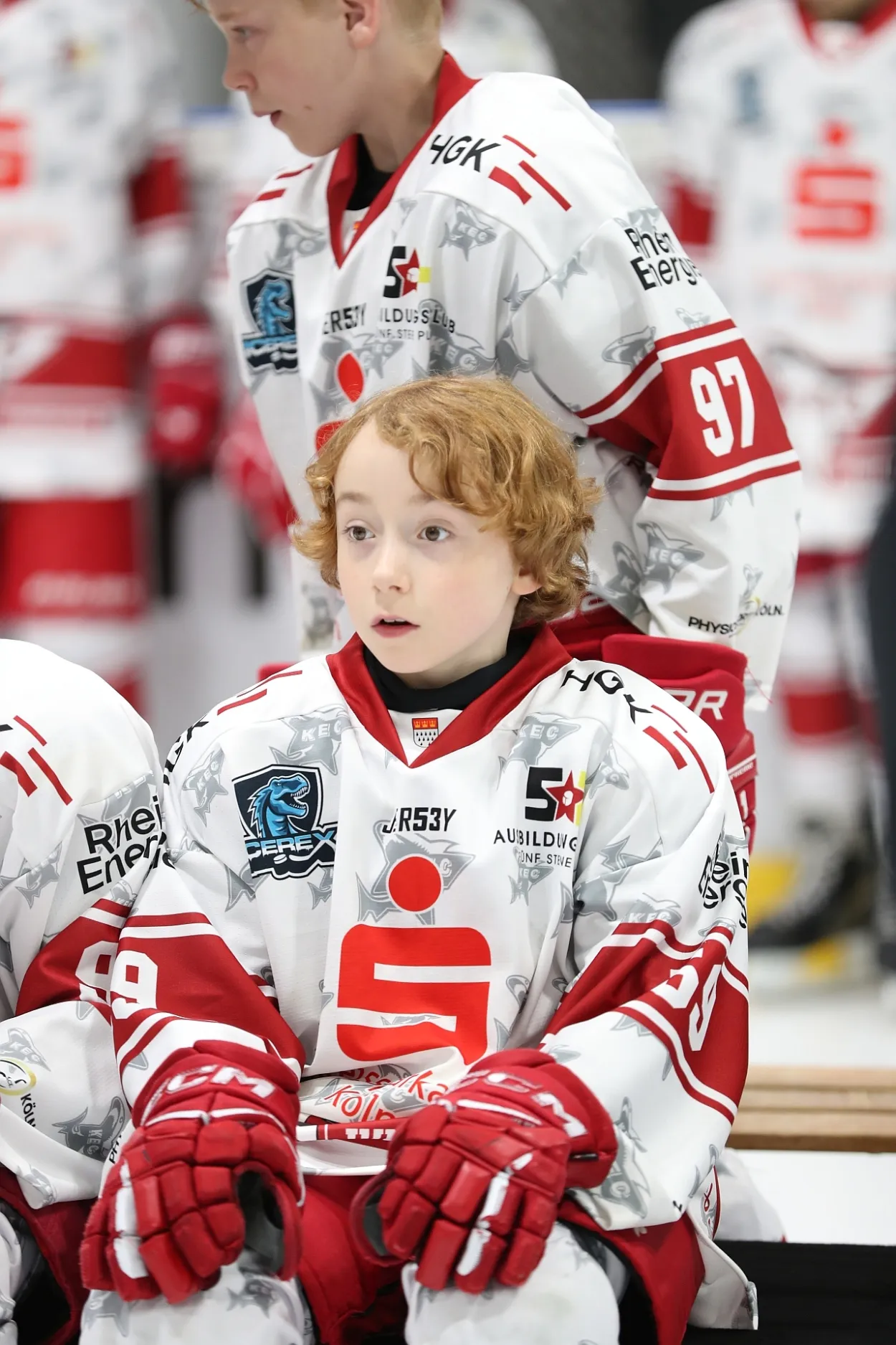 (Fotos: Hans Kästle, Denis