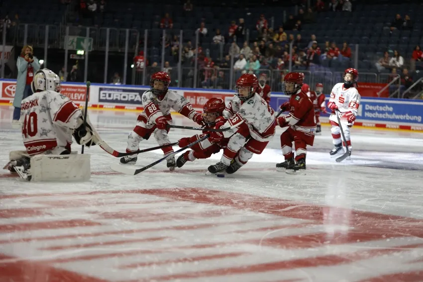 Leider keine Bildbeschreibung für _enw9850.jpg vorhanden.