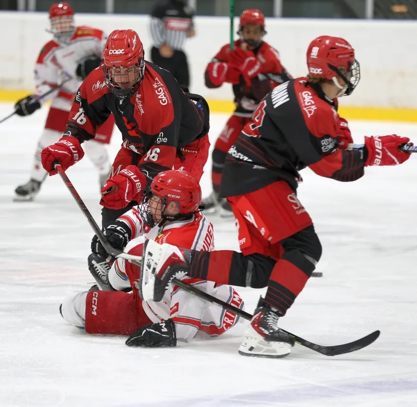 Die U17 der Junghaie hat am 15.11. Meisterrunden-Heimspielpremiere in der