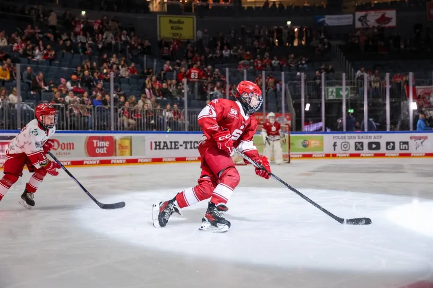 Leider keine Bildbeschreibung für img_0650.jpg vorhanden.