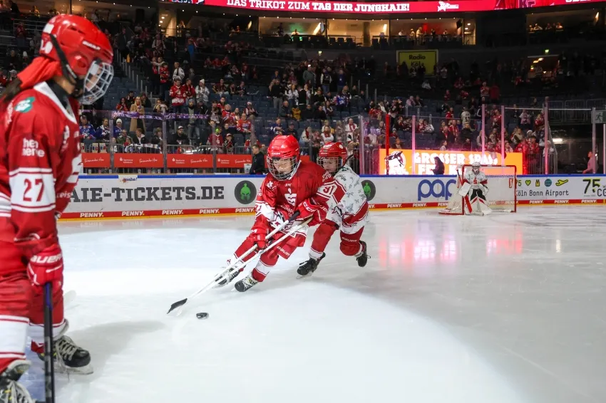 Leider keine Bildbeschreibung für img_0557.jpg vorhanden.