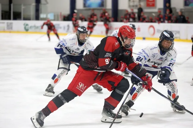 Leider keine Bildbeschreibung für r6hk5671.jpg vorhanden.