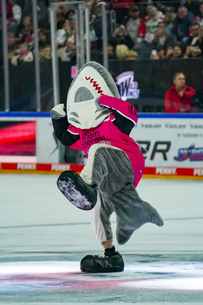 Leider keine Bildbeschreibung für DSC00112.jpg vorhanden.